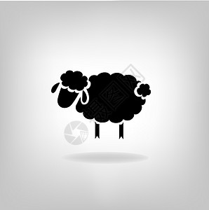 浅色背景的羊黑月亮野生动物哺乳动物内存母羊动物农业卡通片农场黑色乡村背景图片