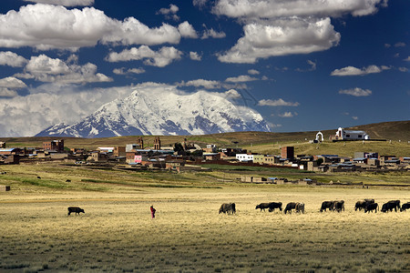 玻利维亚拉巴斯附近阿尔蒂普拉诺背景图片