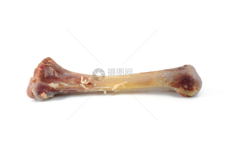 鸡腿骨动物鸡腿食物骨架鸡翅图片