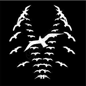 绒绒黑人背景鸟类生命矢量艺术航班季节绘画天堂插图家禽编队野生动物生活羽毛设计图片