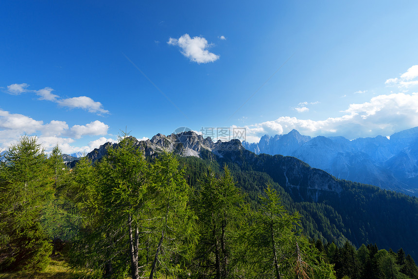 Julian Alps和意大利弗里里山脉岩石山毛榉石头松树顶峰冒险荒野风景生态图片