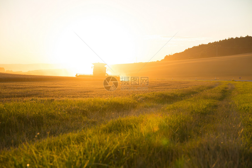 日落时收割车辆草地阳光稻草收获环境国家天空太阳小麦图片