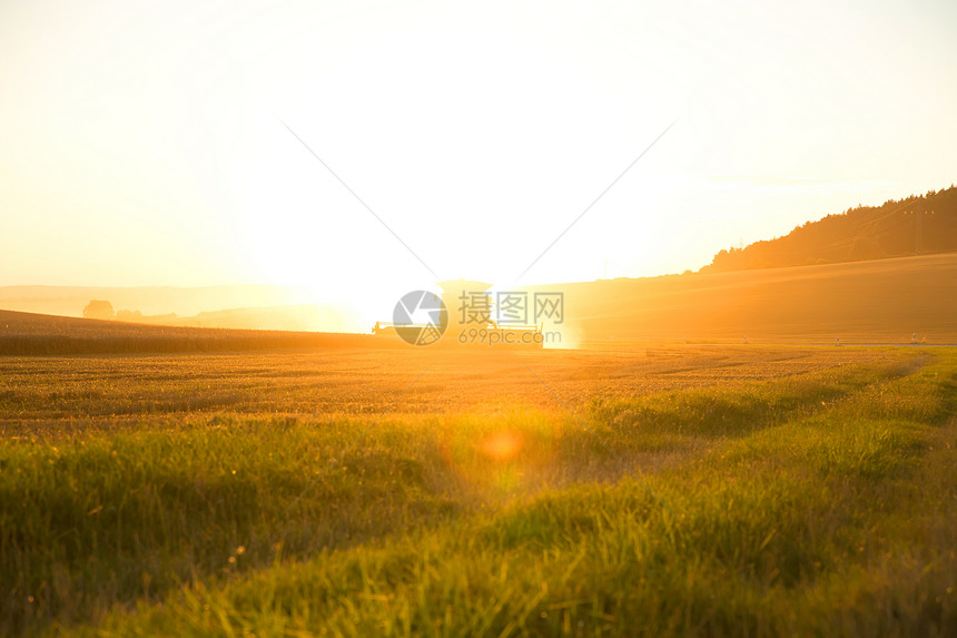 在阳光下收获农田稻草日落生产草地收成面包农业农村太阳图片