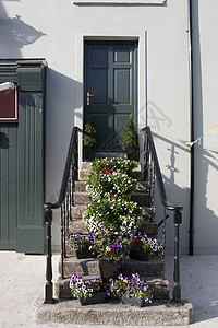 多尼戈尔爱尔兰门廊门口的脚上花朵背景