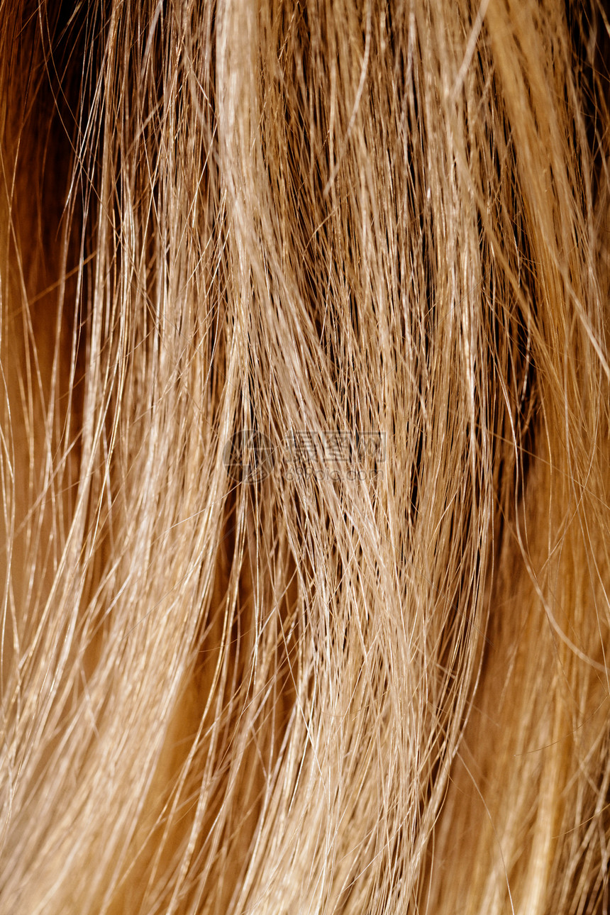 金色头发线条环形光泽度辉煌女士灯丝理发师鬃毛毛皮白色图片
