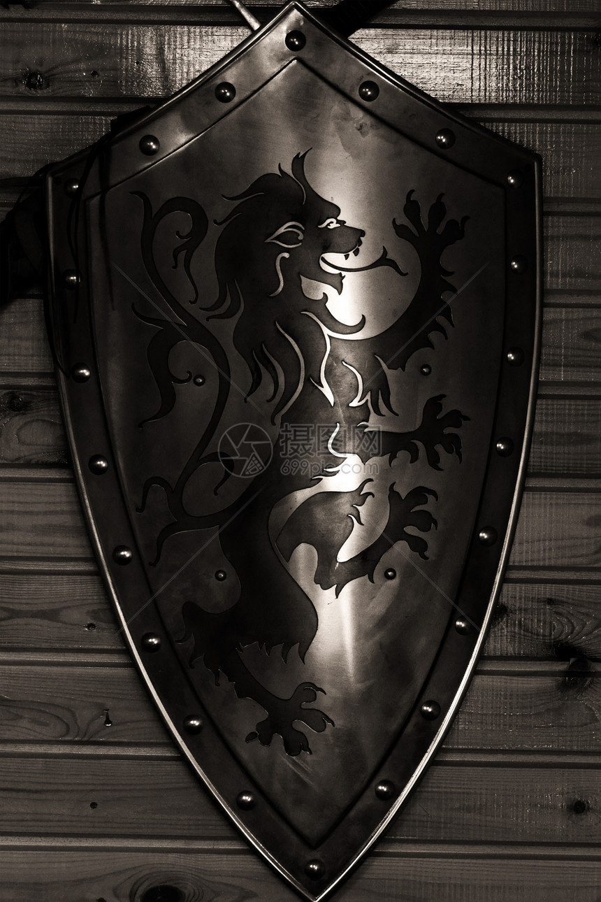 盾盾牌徽章安全铆钉波峰纹章盔甲狮子金属图片