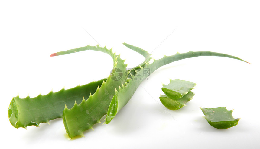 Aloe Vera 白白孤立植物果汁奶油皮肤绿色愈合水滴宏观草本植物洗剂治愈图片