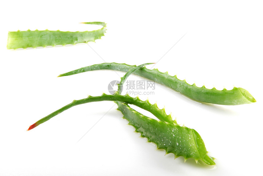 Aloe Vera 白白孤立植物绿色化妆品药品沙漠草本医疗奶油水滴草本植物果汁图片