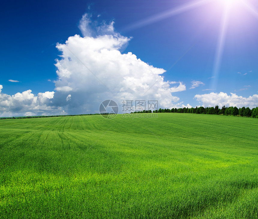 绿绿地季节太阳天空天堂牧场地平线农村远景草地晴天图片