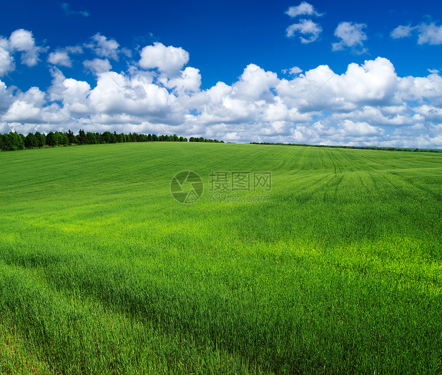 字段农业乡村多云场地天气牧场草地风景绿色植物图片