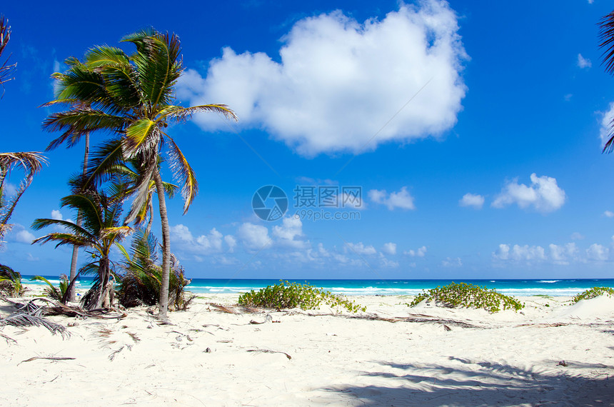 加勒比海滩支撑晴天热带风景旅游海景蓝色太阳旅行假期图片