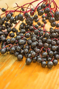 长莓黑色食物水果植物季节药品长老背景图片