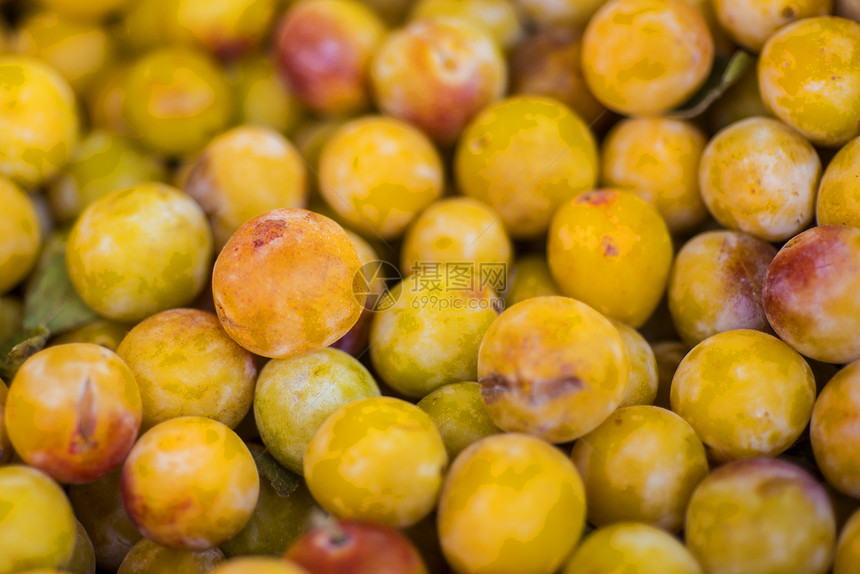 米拉贝尔黄色水果树叶产品李子绿色市场修剪食物花园图片