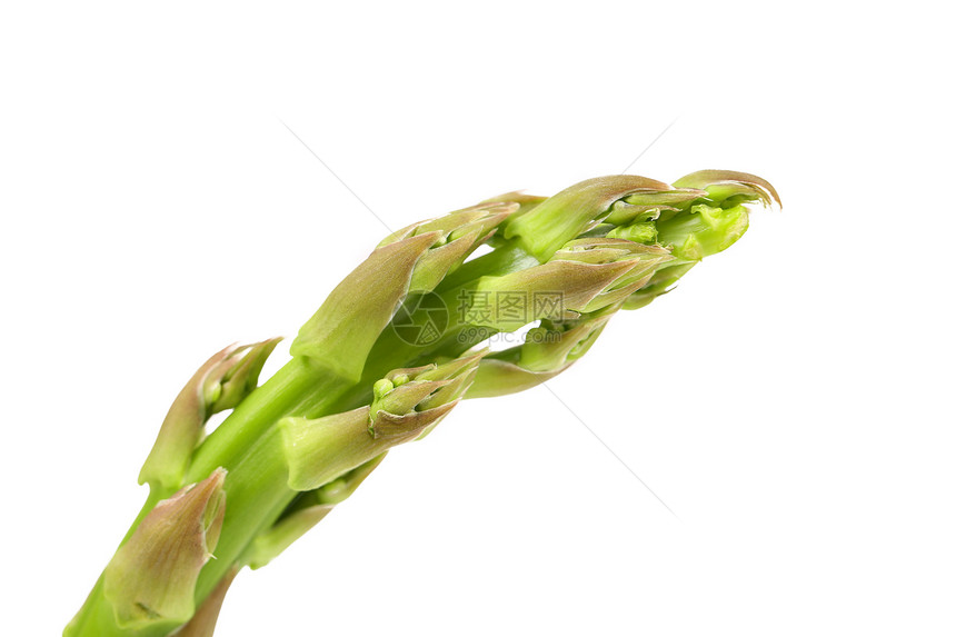新鲜的长矛反射维生素白色饮食蒸汽发芽季节食物蔬菜美食图片