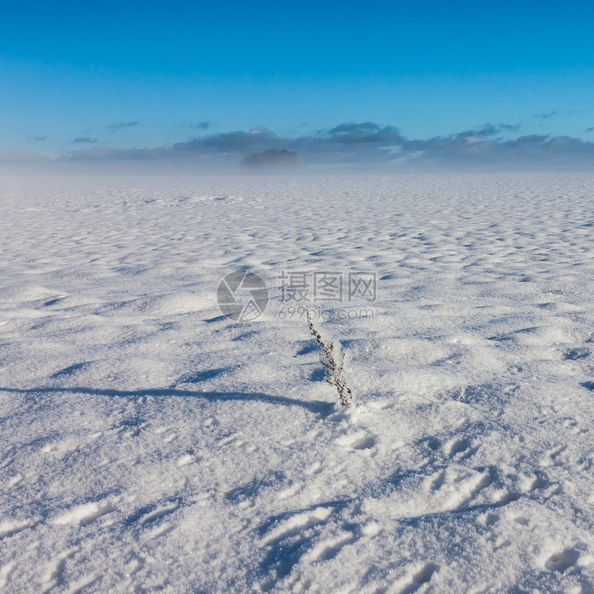 冬季雾地貌寒冷阳光天气天空气候温度季节图片