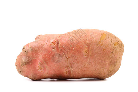 红土豆管素食主义者甜管高清图片