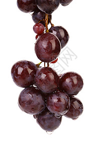红葡萄红色食物团体水果农业栽培紫色背景图片