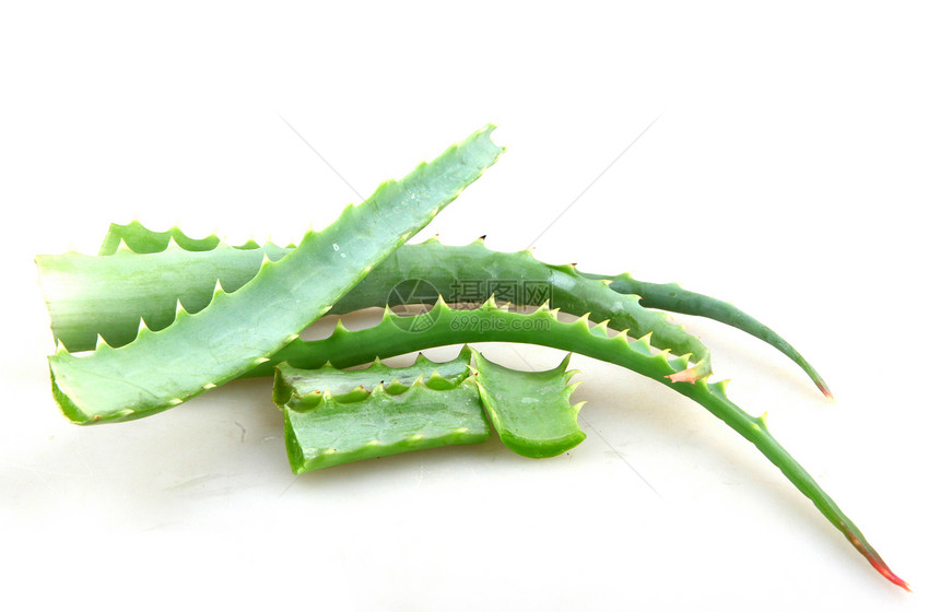 芦荟草本植物皮肤宏观沙漠愈合植物学叶子治愈植物化妆品图片