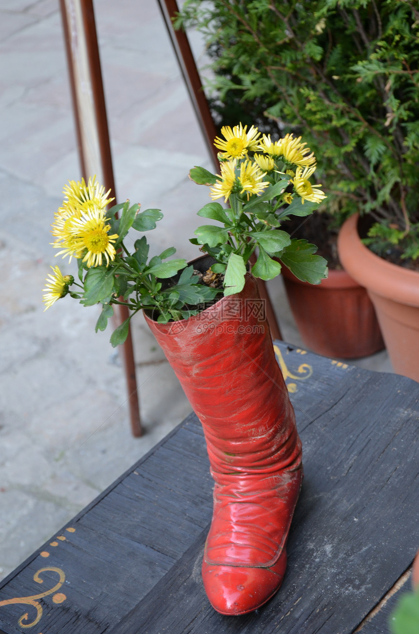 红靴子里面有黄色花朵图片