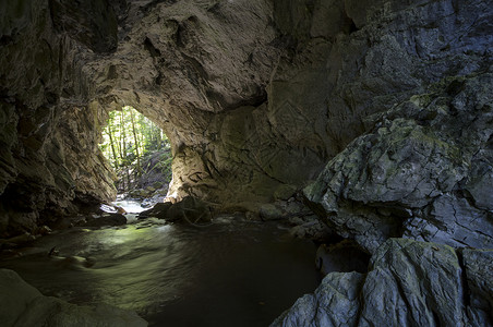 有出口的石头隧道流动森林天花板暖光背景图片