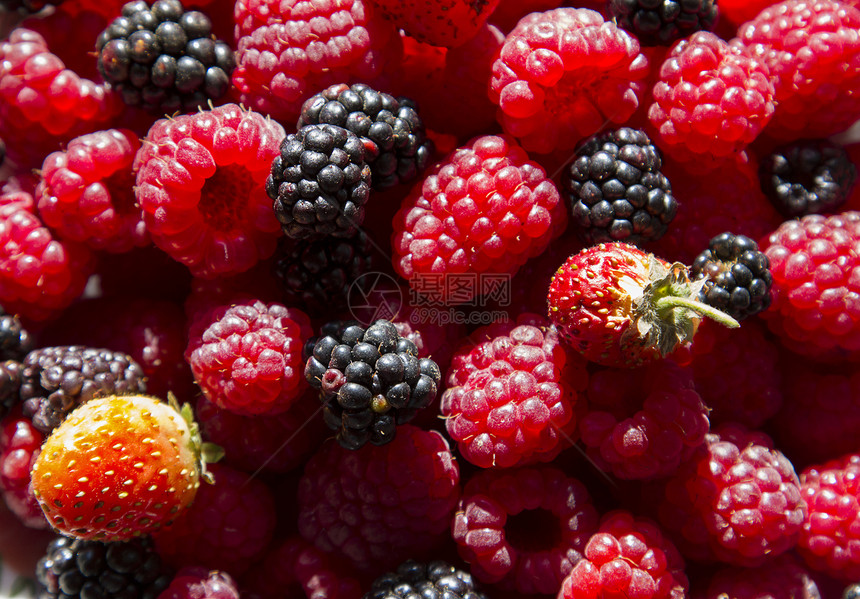 野莓和草莓浆果水果森林素食主义者红色图片