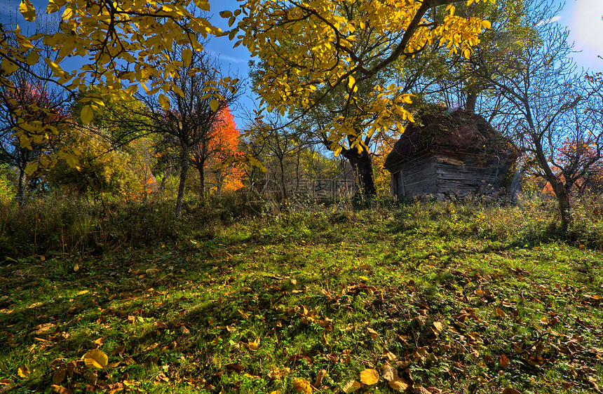 在一个多姿多彩的秋天中的小屋里图片