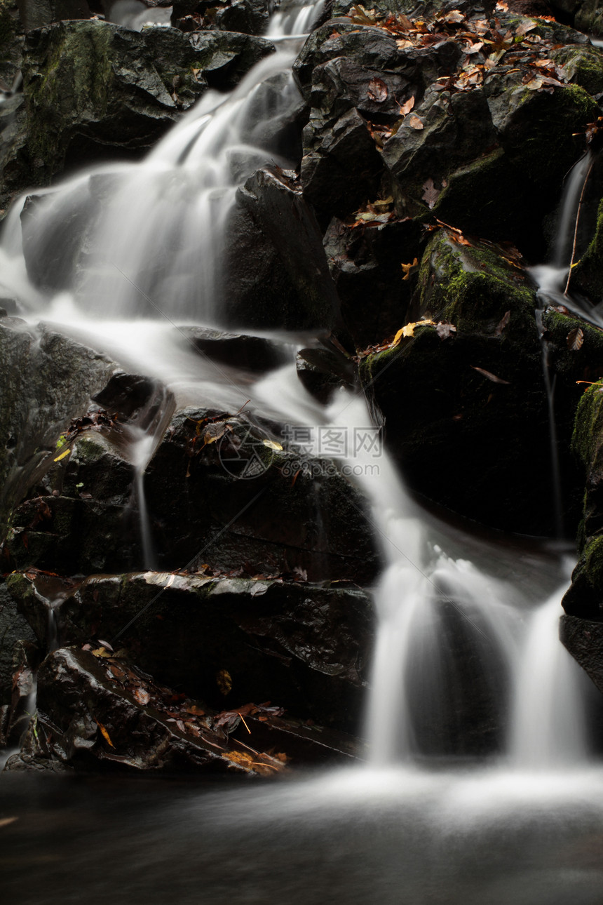 瀑布环境力量荒野气候森林公园岩石场景石头叶子图片
