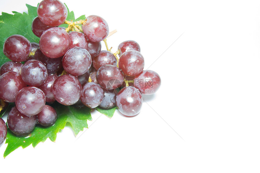 葡萄红色食物浆果水果白色植物藤蔓图片