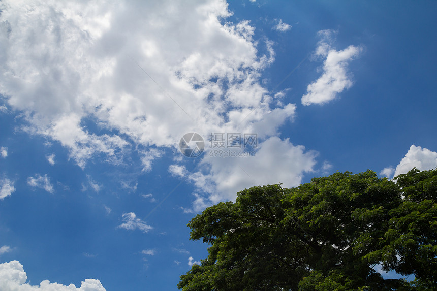 蓝蓝天空蓝天风景植物晴天季节性季节场景阳光叶子美丽图片