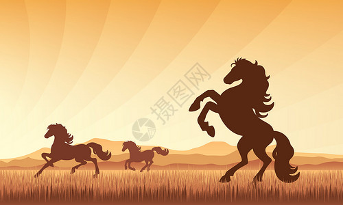 烧猪蹄日落背景矢量光影图示上的田野马插图场地荒野太阳阳光宠物家庭动物草原绘画插画