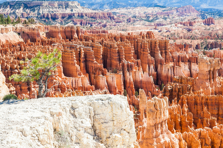 布莱斯峡谷编队游客地标红色砂岩国家旅行晴天地质学岩石图片