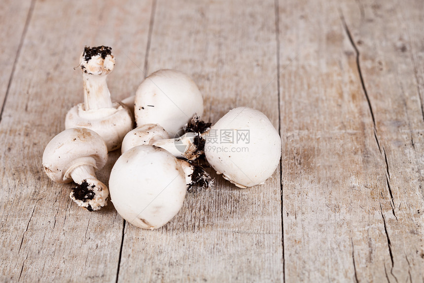 新鲜冠军白色香菜食物菌类木头乡村营养团体蔬菜棕色图片