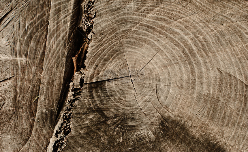 木柴结构的结构棕色木头圆形材料图片