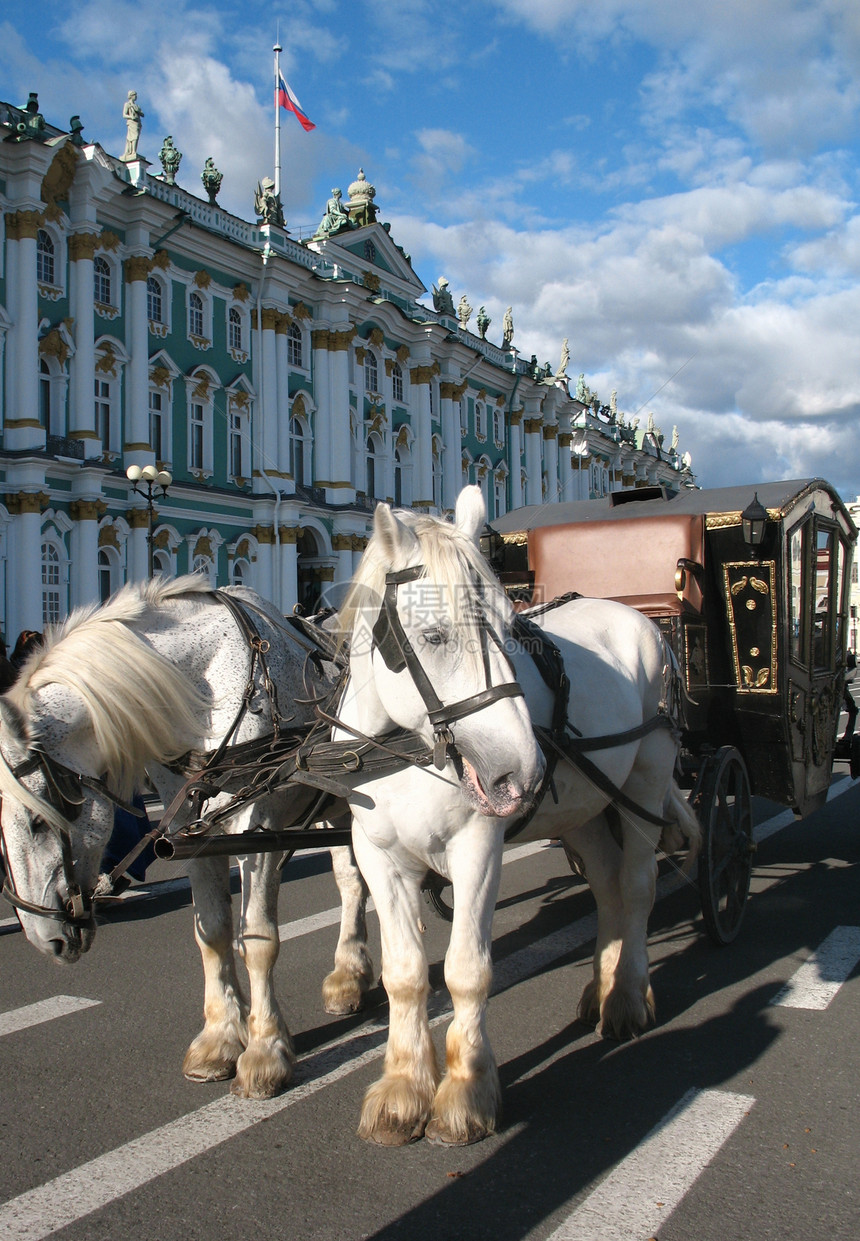 圣彼得堡博物馆附近的马马车图片