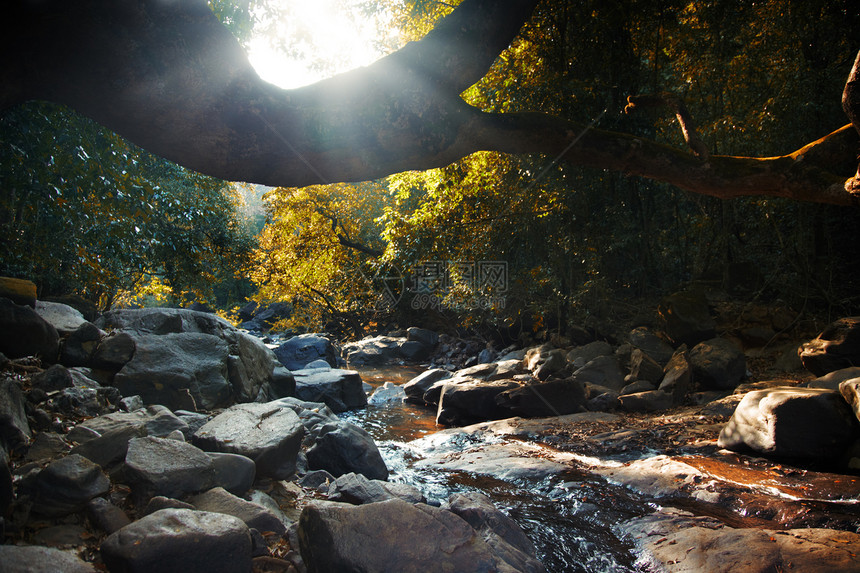 森林之夜荒野石头日落丛林季节性黑暗溪流环境水平活力图片