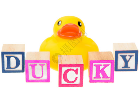 红烧鸭块用橡皮鸭拼写鸭子的婴儿区块背景