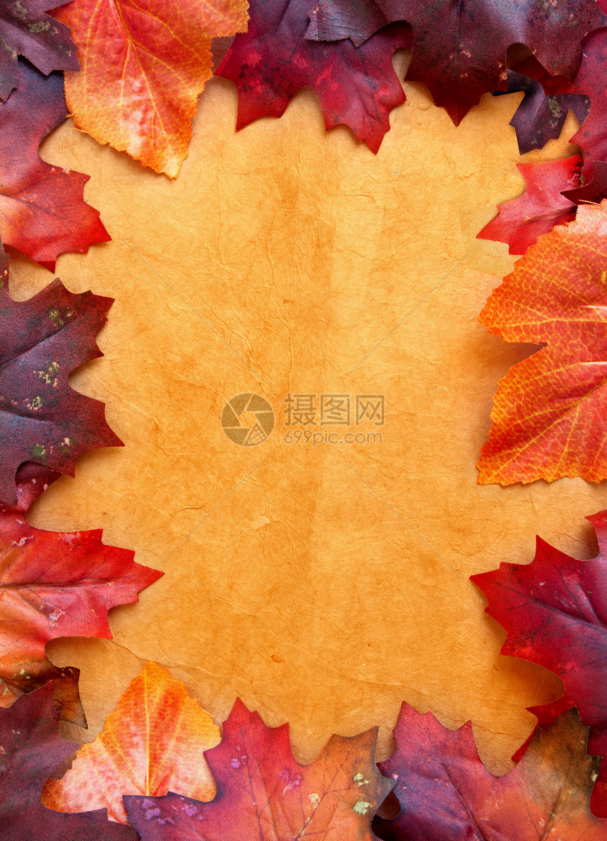 秋叶菜单季节性边界植物树叶叶子橙子季节红色框架图片