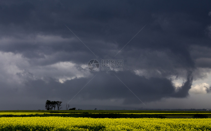 平原风暴云天气戏剧性风景雷雨天空草原危险图片