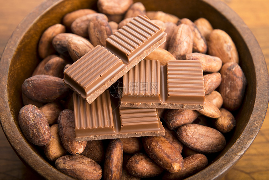 咖啡豆和奶巧克力美食营养热带棕色团体饮食工作室种子农业白色图片