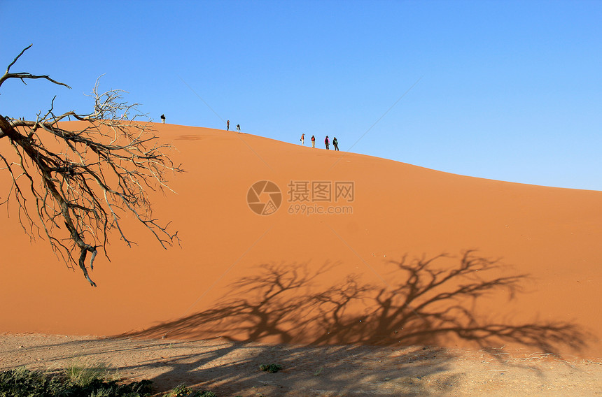 在纳米布沙漠探寻沙丘图片