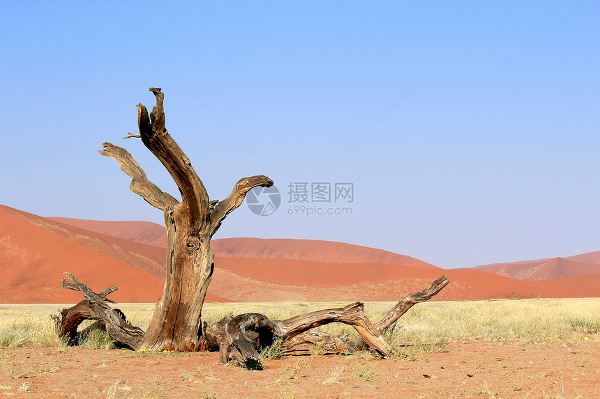 塞斯里姆附近纳尼布沙漠的索苏夫莱沙丘景观风景死亡假期沙漠沙丘国家单人纸牌干旱航向图片