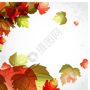 秋天的背景叶子植物学环境橙子插图作品天空海报森林季节背景图片