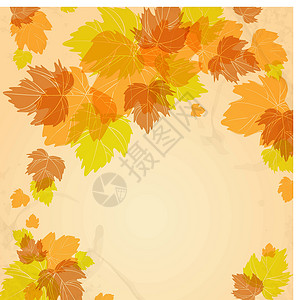 秋季背景横幅艺术插图天空卡片海报环境作品季节叶子背景图片