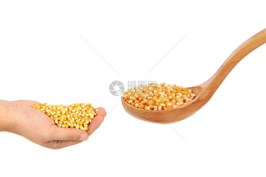 玉米变成木勺和手图片