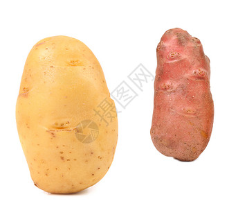两种不同的新鲜土豆图片