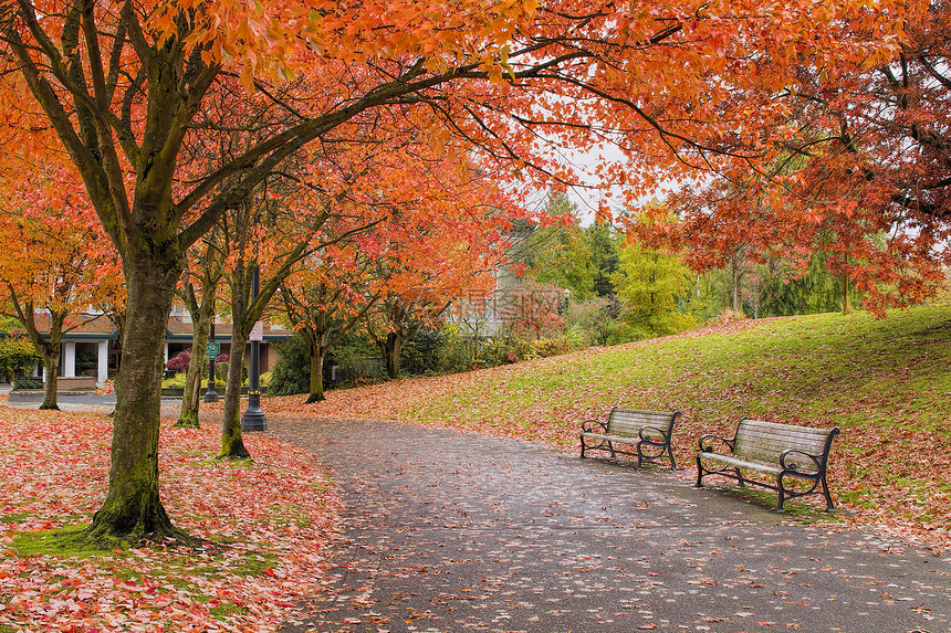秋季的步行和比金公园小路旅游小径草地民众纪念品橙子植物旅行叶子花园图片