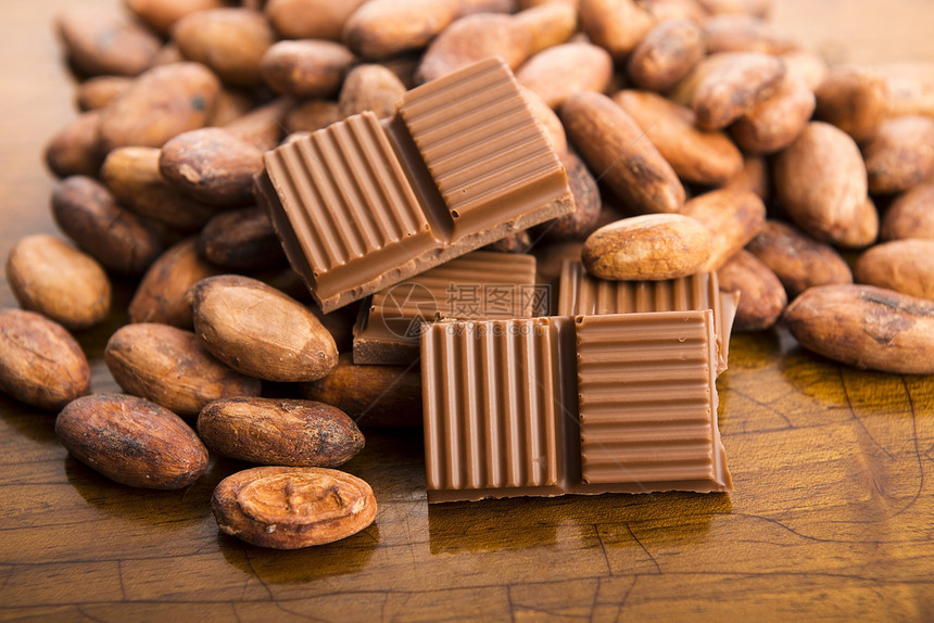 咖啡豆和奶巧克力白色饮食棕色美食热带水果营养种子工作室团体图片