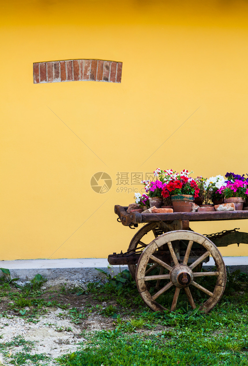 托斯卡花花橙子植物群绿色花束活力农业花朵团体植物园艺图片