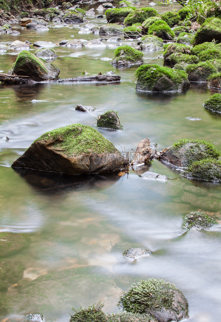 蚊子覆盖了河流中的岩石峡谷美丽溪流荒野风景森林墙纸苔藓运动流动图片