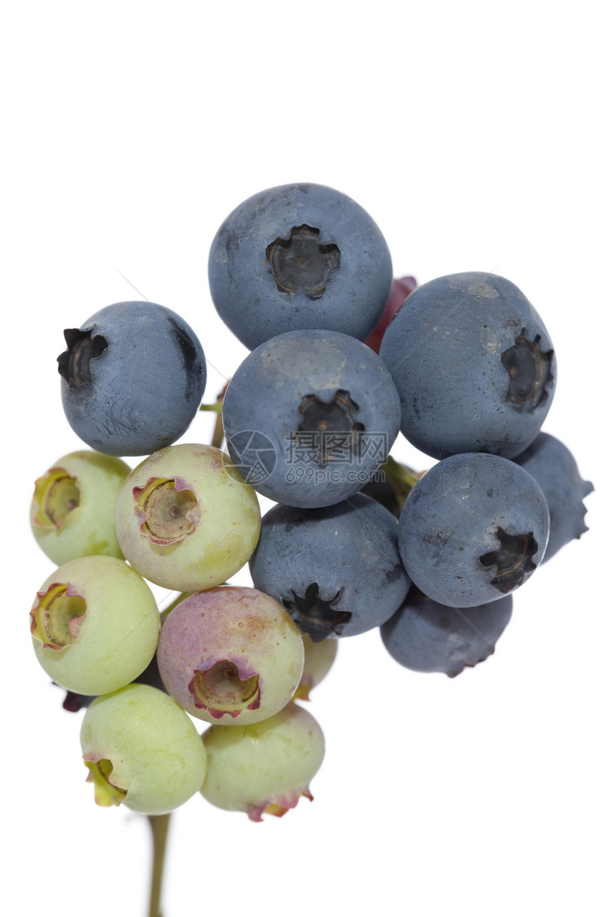 蓝莓宏观蓝色水果浆果植物覆盆子绿色食物图片
